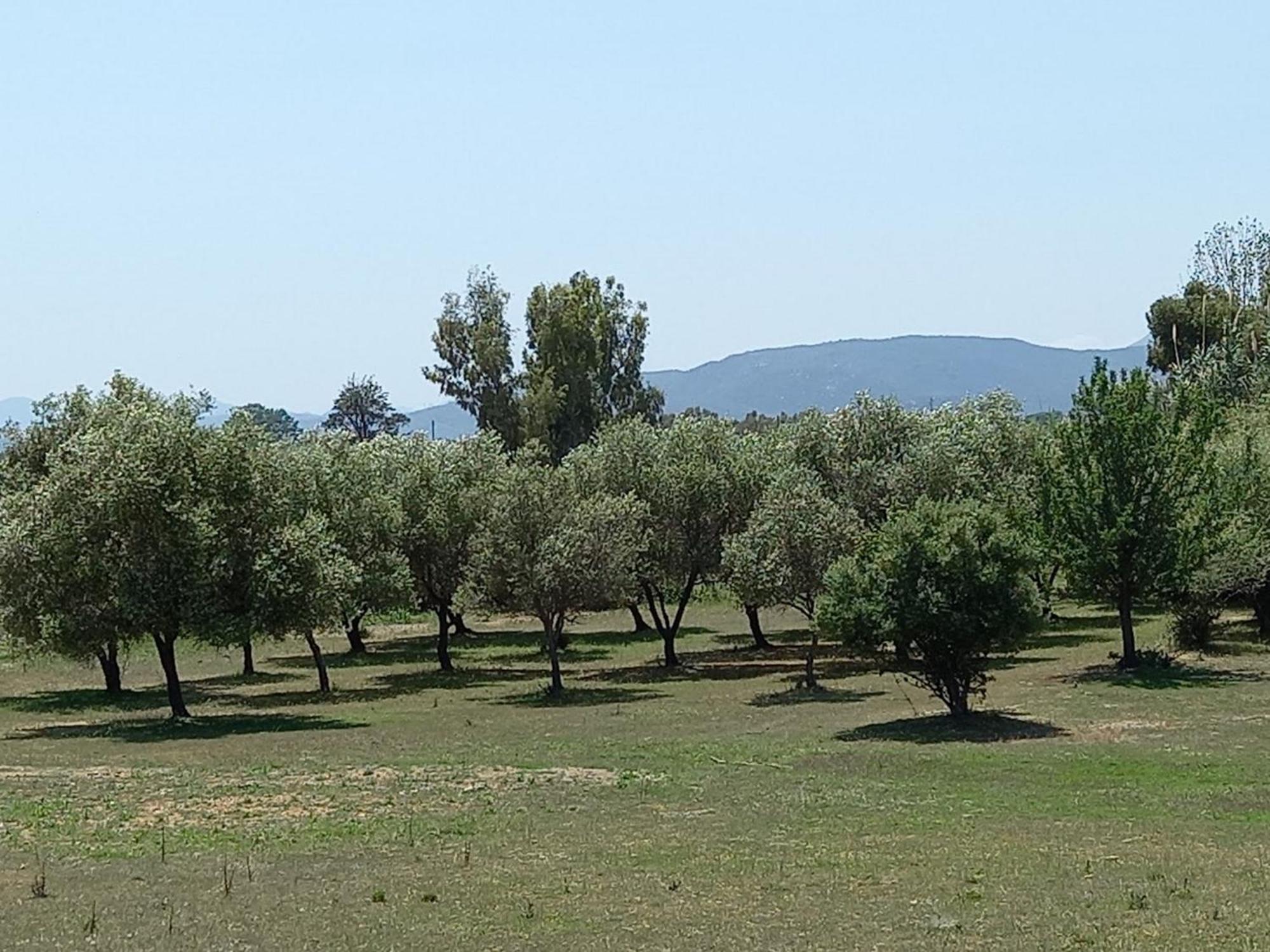 Basecamp Ogliastra - Flat Green Santa Maria Navarrese Exterior photo